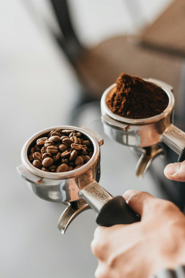 Whole Bean vs Ground Coffee: Which Should You Buy?