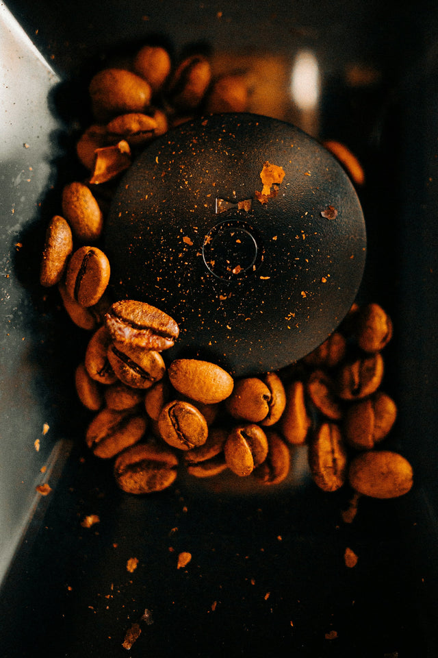 Roasted coffee beans around a grinder burr, with fine grounds